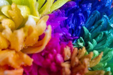 Renkli krizantem buket