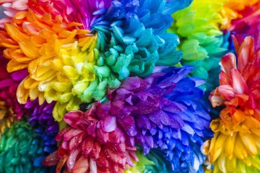 Renkli krizantem buket