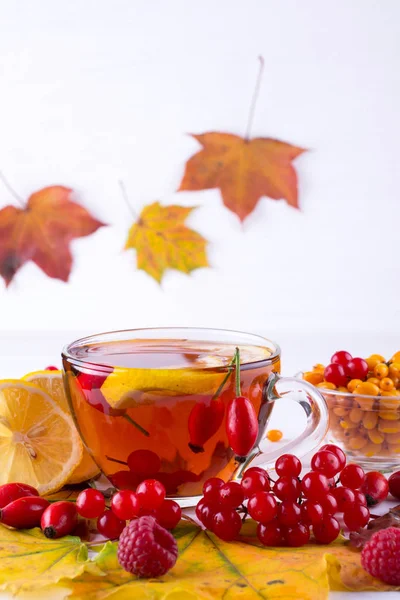 Gesunde Getränke Herbst Tasse Tee Mit Herbstbeeren Sanddorn Viburnum Hagebutte — Stockfoto