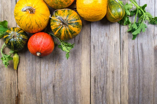 Marco Diferentes Calabazas Sobre Viejo Fondo Madera Plano Vista Superior — Foto de Stock