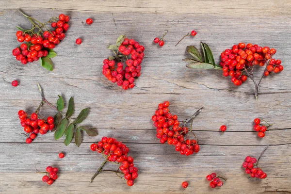 Pattern Made Rowan Berries Rustic Wooden Background Flat Lay Top — Stock Photo, Image