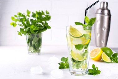 Yaz nane kireç kokteyl serinletici mojito cam, taze malzemeler ve kokteyl shaker buz ile