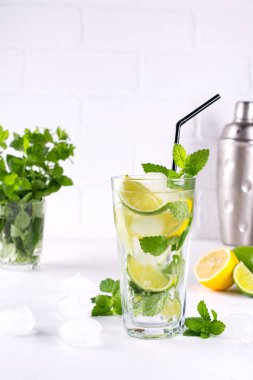 Yaz nane kireç kokteyl serinletici mojito cam, taze malzemeler ve kokteyl shaker buz ile
