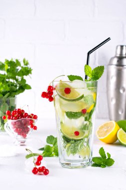 Çeşitli berry limonata veya mojito kokteyller, taze buzlu limon kireç, frenk üzümü suyu infüzyon, yaz sağlıklı detoks içecekler açık renkli 