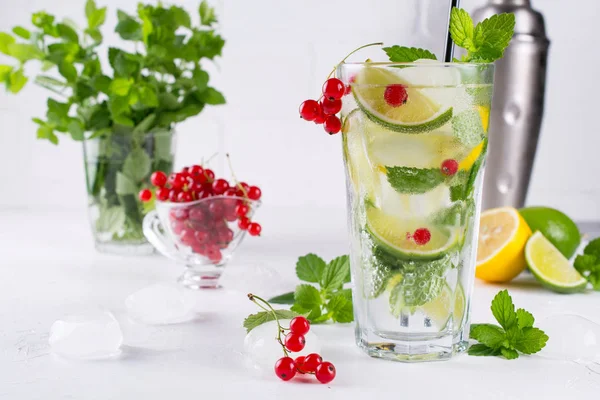 Çeşitli berry limonata veya mojito kokteyller, taze buzlu limon kireç, frenk üzümü suyu infüzyon, yaz sağlıklı detoks içecekler açık renkli 