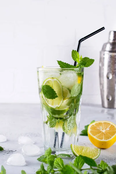 Buz ve shaker ile taze berry ev yapımı limonata mojito limon, limon, nane ile kokteyl bırakır. Yaz içki kavramı. 