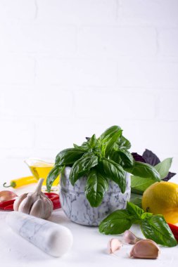 Taze Bahçe basil otlar harç ve zeytinyağı, sarımsak, kırmızı biber, limon beyaz arka plan üzerinde sıcak..