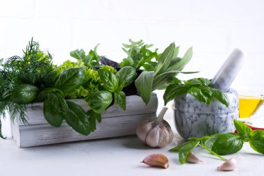 Taze mutfak otlar ve baharatlar, yağ ile beyaz seramik havan mermisi. Fesleğen dereotu salata adaçayı arugulagarlic biber biber