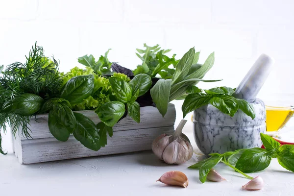 Taze mutfak otlar ve baharatlar, yağ ile beyaz seramik havan mermisi. Fesleğen dereotu salata adaçayı arugulagarlic biber biber