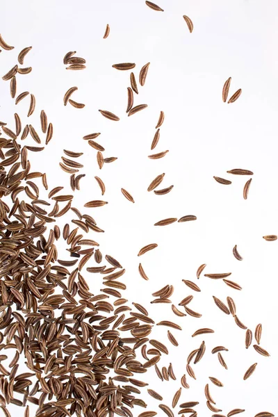 キャラウェイやクミンの種子は 白い背景で隔離 トップ ビュー — ストック写真