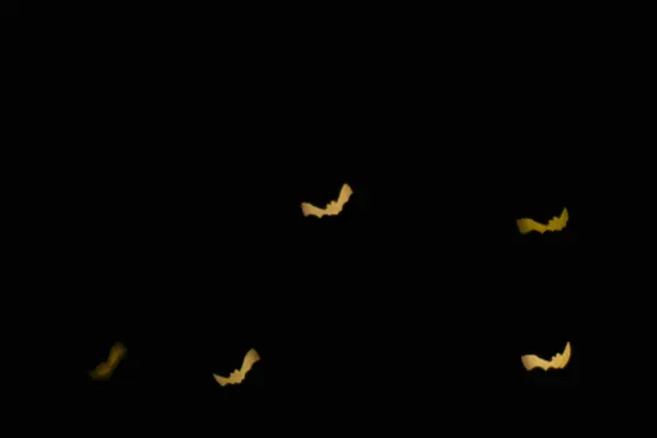 在万圣节背景蝙蝠的形状中 废弃了多色波克灯 复制空间 万圣节产品的背景 — 图库照片