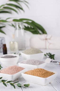 Farklı kil tozu ile seramik kaseler ve beyaz arka plan üzerinde taze Okaliptüs yaprakları. Yüz ve vücut bakım kavramı.