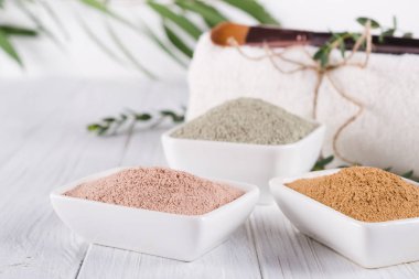 Farklı kil tozu ile seramik kaseler ve beyaz arka plan üzerinde taze Okaliptüs yaprakları. Yüz ve vücut bakım kavramı.