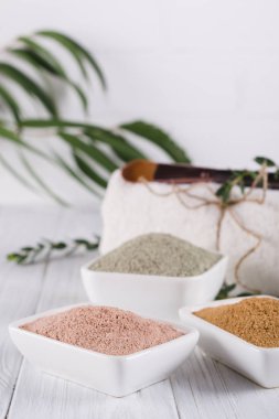 Farklı kil tozu ile seramik kaseler ve beyaz arka plan üzerinde taze Okaliptüs yaprakları. Yüz ve vücut bakım kavramı.