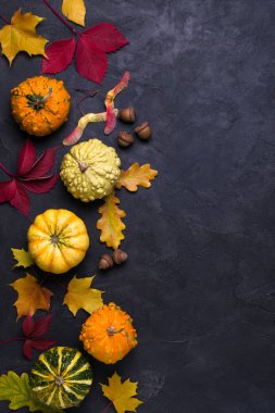 Sonbahar kompozisyon. Farklı çok renkli kurutulmuş yaprakları ve kabak koyu arka plan üzerinde çerçeve yaptı. Sonbahar, Güz konsepti. Düz yatıyordu, en iyi görünüm, kopya alanı