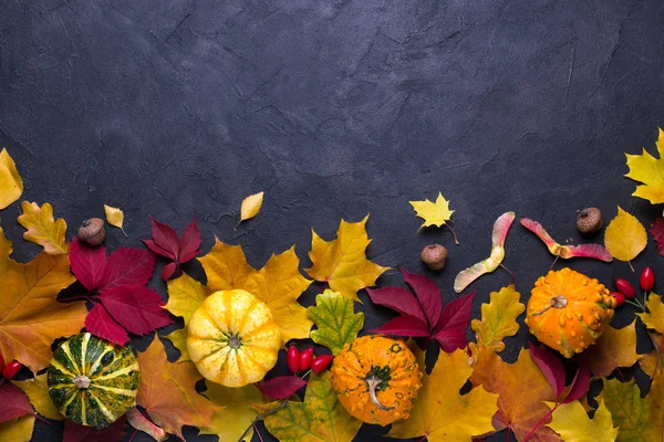 Composición Otoño Marco Hecho Diferentes Hojas Secas Multicolores Calabaza Sobre — Foto de Stock