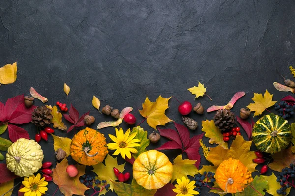 Herbstkomposition Rahmen Aus Verschiedenen Mehrfarbigen Getrockneten Blättern Und Kürbis Auf — Stockfoto