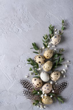 Bıldırcın yumurta ve okaliptüs yaprağı dal ile Paskalya bahar dekoratif kompozisyon. Gri beton ile bir arka plan üzerinde metin için yer.