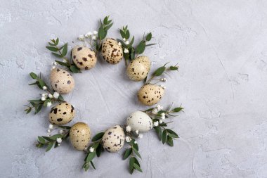 Paskalya kartı veya davet için daire sınır. Paskalya çelenk ile okaliptüs Paskalya bıldırcın ve yaprak dal. Gri beton ile bir arka plan üzerinde metin için yer.