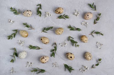 Mutlu Paskalya veya bahar tebrik kartı desen. bıldırcın yumurtası ve okaliptüs yaprağı dal yapılmış. Bir gri beton arka plan üzerinde. Düz yatıyordu