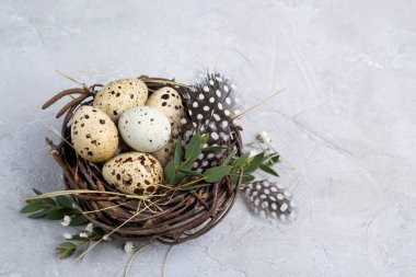 Bıldırcın yumurtası, Paskalya kavramı ile yuvası. Mutlu Paskalya veya bahar tebrik kartı