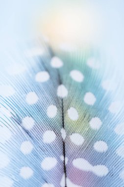 Yumuşak renkler eşarplı tasarımı için arka plan metin için yer ile