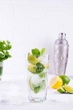 Yaz nane kireç kokteyl serinletici mojito cam, taze malzemeler ve kokteyl shaker buz ile