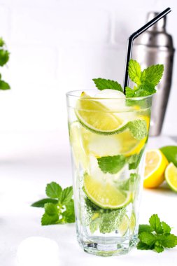 Yaz nane kireç kokteyl serinletici mojito cam, taze malzemeler ve kokteyl shaker buz ile