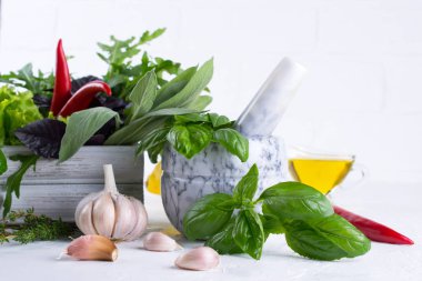 Taze mutfak otlar ve baharatlar, yağ ile beyaz seramik havan mermisi. Fesleğen dereotu salata adaçayı arugulagarlic biber biber