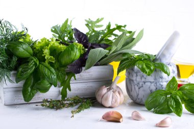 Taze mutfak otlar ve baharatlar, yağ ile beyaz seramik havan mermisi. Fesleğen dereotu salata adaçayı arugulagarlic biber biber