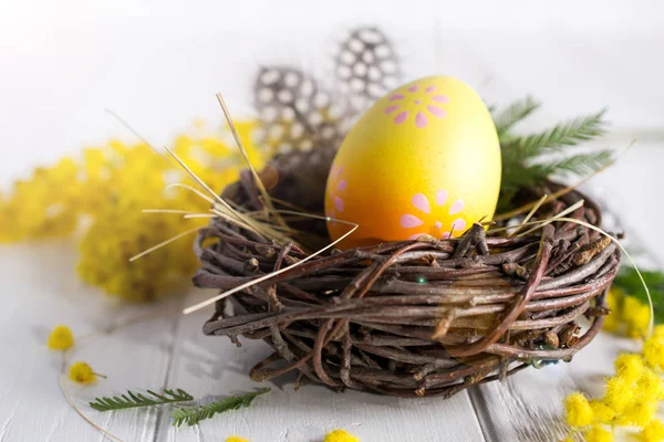 Minimal Easter Composition Yellow Decorative Chicken Egg Nest Mimosa Flowers — Stock Photo, Image