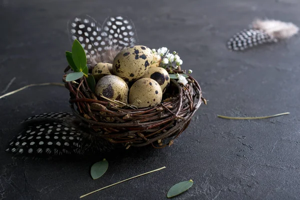 Easter Concept Decorative Willow Nest Quail Eggs Feather Dark Rusty — Stock Photo, Image