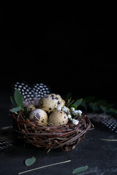 Concepto Pascua Nido Sauce Decorativo Con Huevos Codorniz Plumas Sobre — Foto de Stock