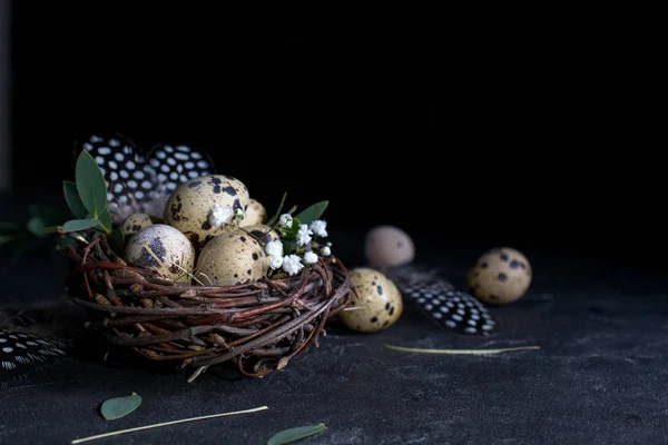 Concepto Pascua Nido Sauce Decorativo Con Huevos Codorniz Plumas Sobre — Foto de Stock