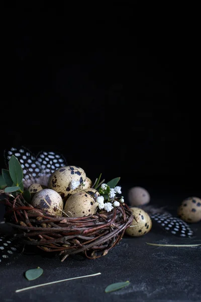 Concepto Pascua Nido Sauce Decorativo Con Huevos Codorniz Plumas Sobre — Foto de Stock