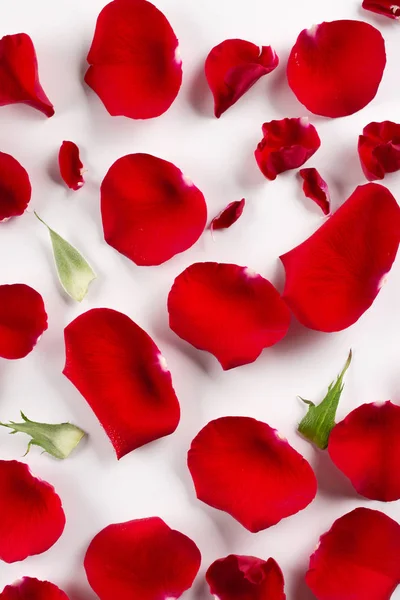 Samt Rote Rosenblätter Auf Weißem Hintergrund Ansicht Von Oben — Stockfoto