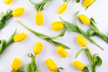 Çiçek desenli beyaz zemin üzerine Sarı Lale yapılmış. Çiçek desen doku. Düz yatıyordu, en iyi görünümü.