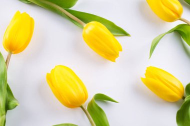 Çiçek desenli beyaz zemin üzerine Sarı Lale yapılmış. Çiçek desen doku. Düz yatıyordu, en iyi görünümü.