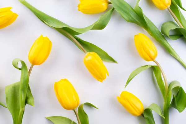 Floral pattern made of yellow tulip on white background. Flowers pattern texture. Flat lay, top view.