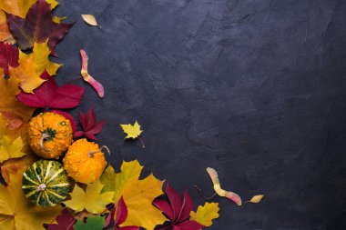 Sonbahar kompozisyon. Farklı çok renkli kurutulmuş yaprakları ve kabak koyu arka plan üzerinde çerçeve yaptı. Sonbahar, Güz konsepti. Düz yatıyordu, en iyi görünüm, kopya alanı