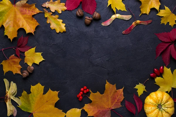 Рамка Осенними Кленовыми Листьями Природа Соблазняет Дизайном Меню Открыткой Баннером — стоковое фото