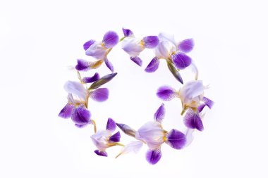 Beyaz arka planda mor iris çiçeklerinden yapılmış yuvarlak çerçeve. Düz yerde, üst tarafta. Çiçek arka planı