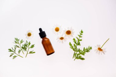 Papatya çiçekleri ve kozmetik şişesi beyaz arka planda gerekli yağ, üst yaşam