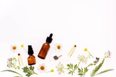 Papatya çiçekleri ve kozmetik şişeleri beyaz arka planda gerekli yağ, üst yaşam