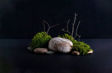 Kabuk ağacı ile soyut arkaplan, ürün sunumu veya sergiler için yosun taşı podyumları. Fotokopi alanı olan doğal ekolojik organik kozmetik güzellik ürünü kavramı