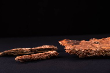 Ürün sunumu veya sergileri için ağaç kabuğu podyumları olan soyut bir arkaplan. Fotokopi alanı olan doğal ekolojik organik kozmetik güzellik ürünü kavramı