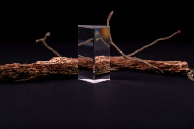 Ürün sunumu veya sergileri için ağaç kabuğu podyumları olan soyut bir arkaplan. Fotokopi alanı olan doğal ekolojik organik kozmetik güzellik ürünü kavramı