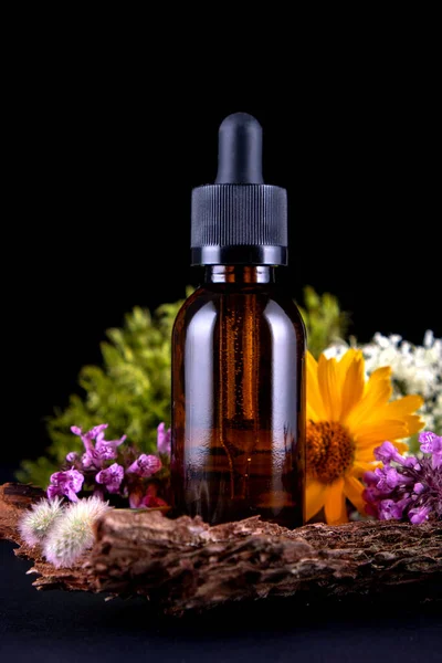 composition with glass bottle of body care organic cosmetics on tree bark pedestal with  real , mosses and flowers. Cosmetic background  mock up for product presentation.