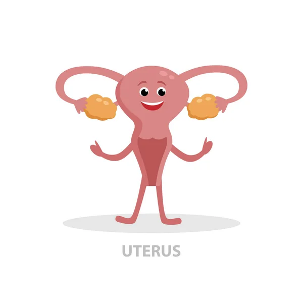 Happy uterus cartoon character vector flat illustration isolated on white background. Good woman health concept icon for medical infographic design. — Stock Vector