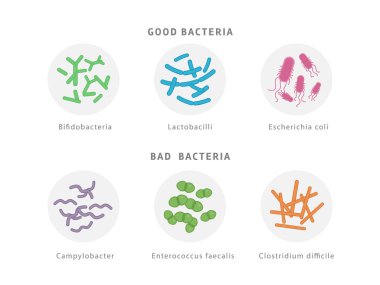 Good and bad bacterial flora icon set isolated on white background. Gut dysbiosis concept medical illustration with microorganisms. clipart